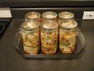 Kimchee Fermentation